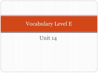 Vocabulary Level E