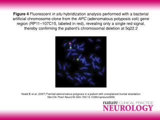 ncpneuro0658-pf4