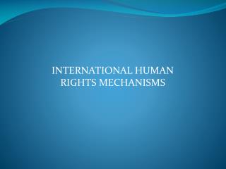 INTERNATIONAL HUMAN RIGHTS MECHANISMS