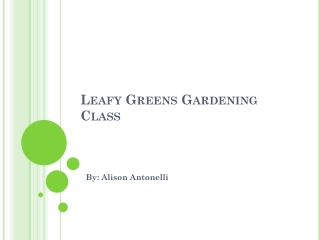 Leafy Greens Gardening Class