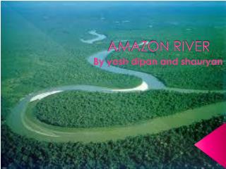 AMAZON RIVER