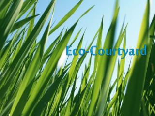 Eco-Courtyard