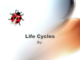 Life Cycles