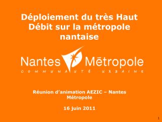 Réunion d’animation AEZIC – Nantes Métropole 16 juin 2011