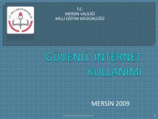 GÜVENLİ İNTERNET KULLANIMI