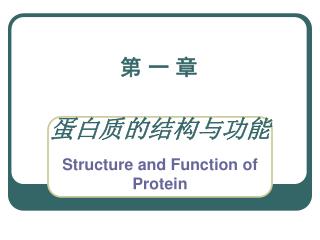 蛋白质的结构与功能