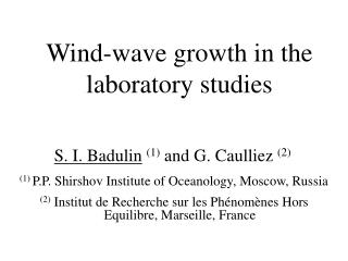 Wind-wave growth in the laboratory studies