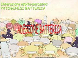 ADESIONE BATTERICA