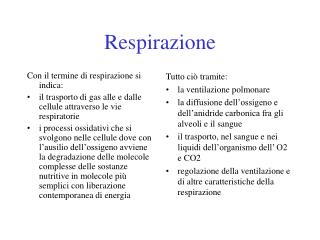 Respirazione