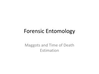 Forensic Entomology