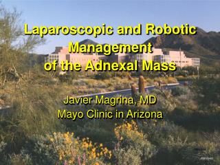 Laparoscopic and Robotic Management of the Adnexal Mass Javier Magrina, MD Mayo Clinic in Arizona