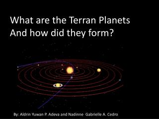 What are the Terran Planets And how did they form?