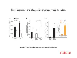 L Adamo et al. Nature 000 , 1- 5 (2009) doi:10.1038/nature080 73