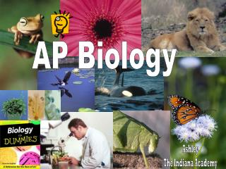 AP Biology