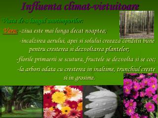 Influenta climat-vietuitoare