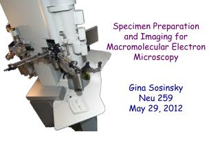 Specimen Preparation and Imaging for Macromolecular Electron Microscopy Gina Sosinsky Neu 259