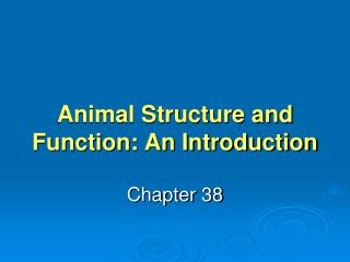 Animal Structure and Function: An Introduction