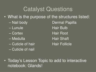 Catalyst Questions