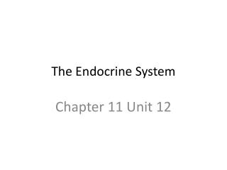 The Endocrine System