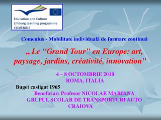 Comenius - Mobilitate individuală de formare continuă