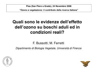 Quali sono le evidenze dell’effetto dell’ozono su boschi aduli ed in condizioni reali?