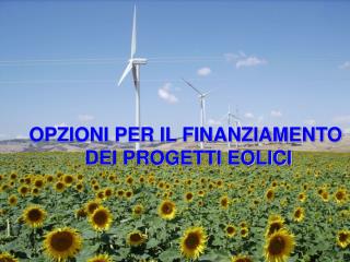 OPZIONI PER IL FINANZIAMENTO DEI PROGETTI EOLICI