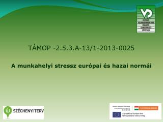 TÁMOP -2.5.3.A-13/1-2013-0025 A munkahelyi stressz európai és hazai normái