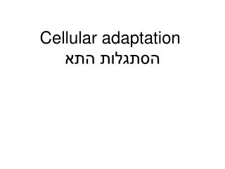 Cellular adaptation הסתגלות התא