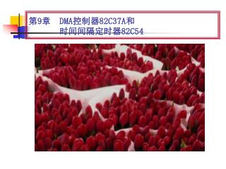 第 9 章 DMA 控制器 82C37A 和 时间间隔定时器 82C54