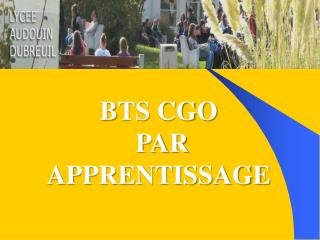 BTS CGO PAR APPRENTISSAGE