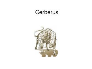 Cerberus