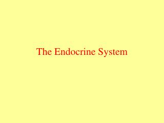 The Endocrine System