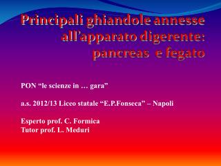 Principali ghiandole annesse all’apparato digerente: pancreas e fegato