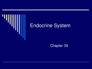 Endocrine System