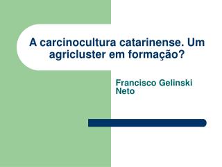 A carcinocultura catarinense. Um agricluster em formação?