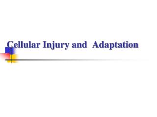 Cellular Injury and Adaptation