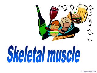 Skeletal muscle