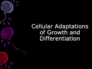 Cellular Adaptations of Growth and Differentiation