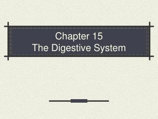 Chapter 15 The Digestive System