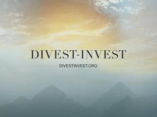 DIVESTINVEST.ORG