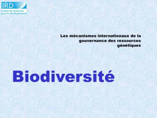 Biodiversité