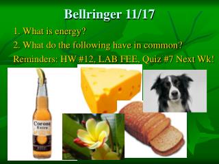 Bellringer 11/17