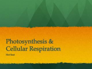 Photosynthesis &amp; Cellular Respiration