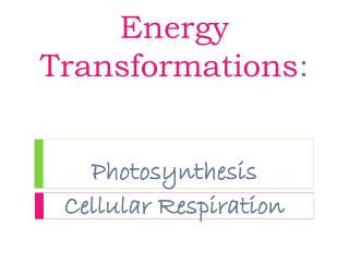 Energy Transformations : Photosynthesis Cellular Respiration