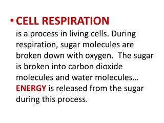 Why do cells burn Glucose? To make ATP
