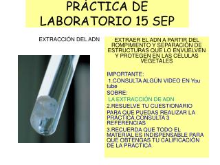 PRÁCTICA DE LABORATORIO 15 SEP