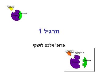 תרגיל 1