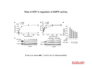 B Xiao et al. Nature 000 , 1-4 (2011) doi:10.1038/nature09932