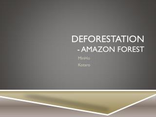 Deforestation - Amazon Forest