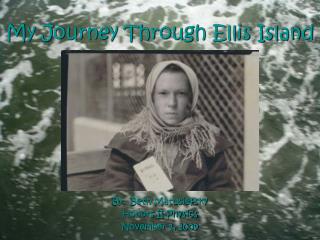 My Journey Through Ellis Island